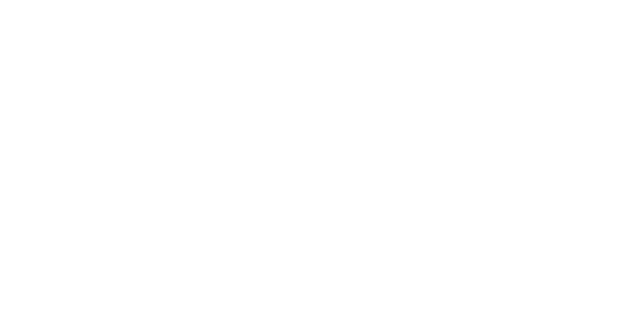 Logo 9